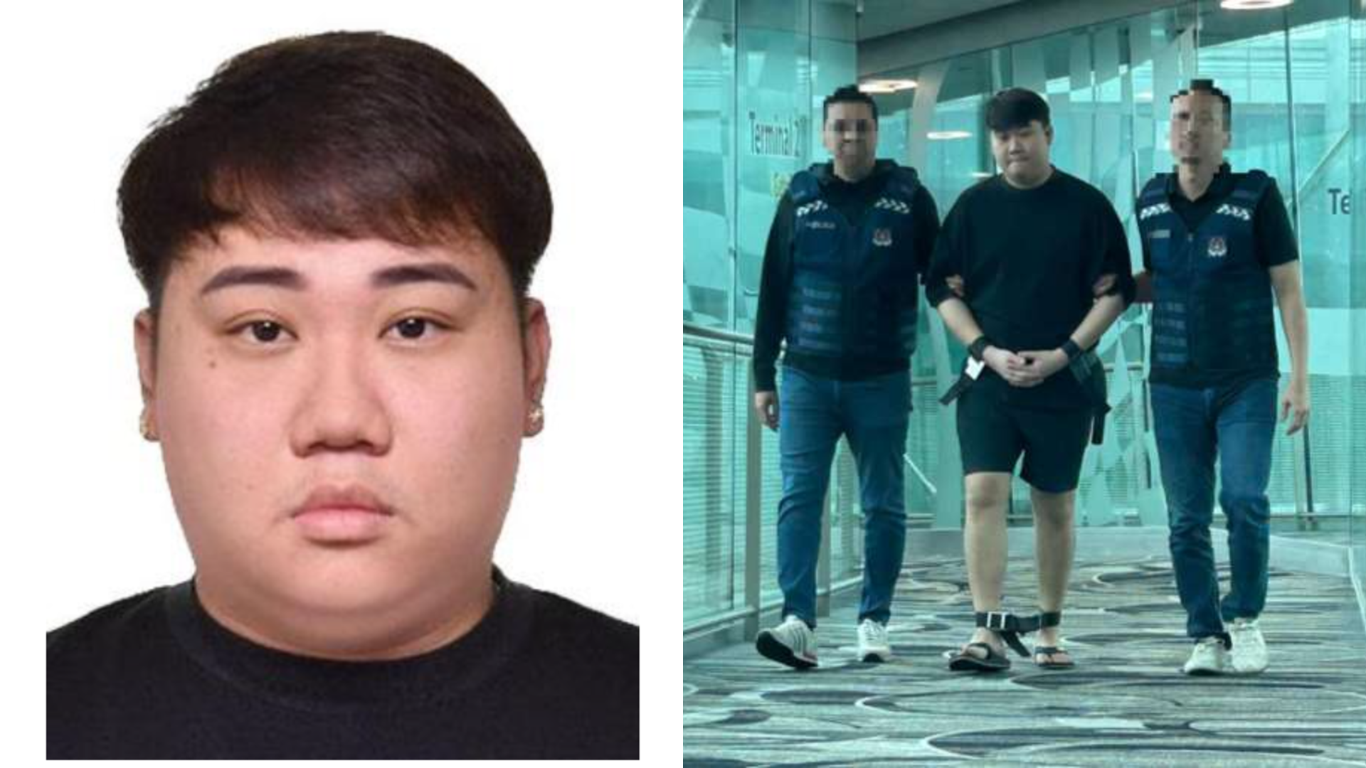 Wayne Soh You Chen, 27, was arrested in Thailand. He was deported to Singapore on Nov 16 and arrested on arrival.